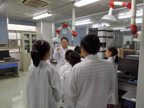 技術(shù)服務(wù)社會(huì) 科學(xué)實(shí)驗(yàn)中心黨支部首屆少兒科普活動(dòng)圓滿(mǎn)成功